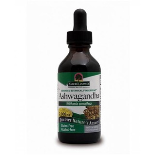 Erva-Moura-Sonífera Raiz Ashwagandha Ext Líq S/Álc